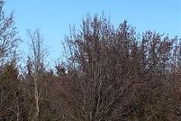 Property for sale in McIntosh County, Oklahoma