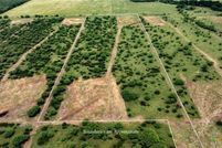 Undeveloped Land for sale in Dewitt County, Texas