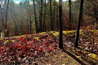 Property for sale in Shenandoah County, Virginia