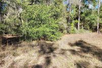 Undeveloped Land for sale in Citrus County, Florida