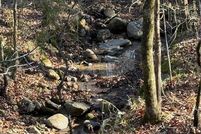 Undeveloped Land for sale in Yell County, Arkansas