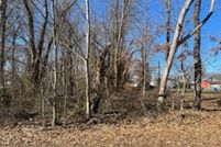 Undeveloped Land for sale in Ballard County, Kentucky