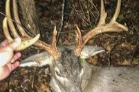 Property for sale in Franklin County, Missouri