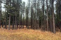 Undeveloped Land for sale in Colfax County, New Mexico