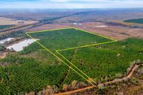 Undeveloped Land for sale in Bowie County, Texas