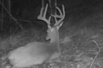 Undeveloped Land for sale in Metcalfe County, Kentucky