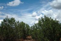 Property for sale in Coconino County, Arizona