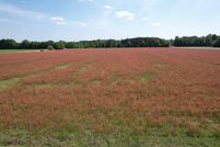 Property for sale in Marlboro County, South Carolina