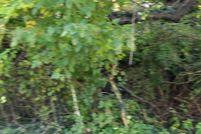 Property for sale in Caroline County, Maryland