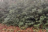 Property for sale in Avery County, North Carolina