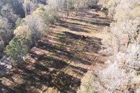 Undeveloped Land for sale in Wilkinson County, Mississippi