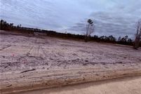 Undeveloped Land for sale in Ware County, Georgia