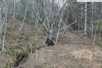 Property for sale in Ashe County, North Carolina