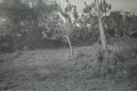 Property for sale in Indian River County, Florida