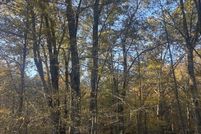 Property for sale in Wilkes County, Georgia