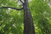 Property for sale in Gogebic County, Michigan