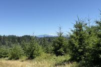 Undeveloped Land for sale in Clark County, Washington