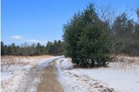 Undeveloped Land for sale in Montmorency County, Michigan