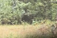 Property for sale in Roanoke County, Virginia