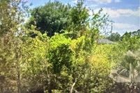 Property for sale in Lee County, Florida