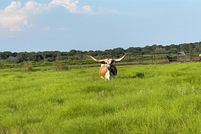 Undeveloped Land for sale in Erath County, Texas