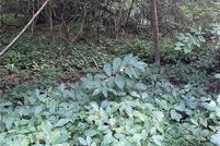 Property for sale in Newport News City County, Virginia