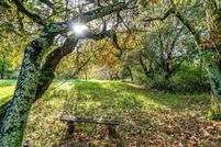 Undeveloped Land for sale in Sonoma County, California
