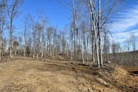 Undeveloped Land for sale in Grayson County, Kentucky