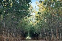 Property for sale in Hendry County, Florida