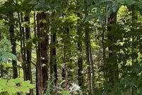 Property for sale in Orleans County, Vermont