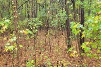 Undeveloped Land for sale in Bartow County, Georgia