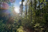 Undeveloped Land for sale in Moore County, Tennessee