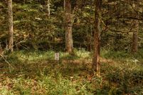 Property for sale in Wolfe County, Kentucky