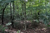 Undeveloped Land for sale in Greenville County, South Carolina