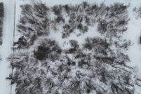 Property for sale in Cass County, Michigan