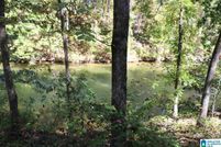 Waterfront Property for sale in Shelby County, Alabama