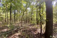 Undeveloped Land for sale in Baxter County, Arkansas