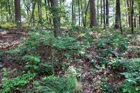 Property for sale in Saline County, Arkansas