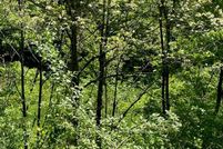 Farm Property for sale in Magoffin County, Kentucky