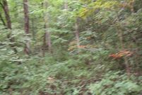 Undeveloped Land for sale in Floyd County, Kentucky