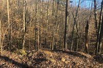 Property for sale in Sevier County, Tennessee