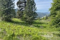 Undeveloped Land for sale in Nez Perce County, Idaho