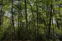 Property for sale in Northumberland County, Virginia