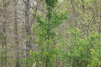 Undeveloped Land for sale in Floyd County, Indiana