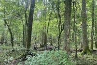 Property for sale in Jefferson Davis County, Mississippi