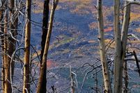 Property for sale in Larimer County, Colorado