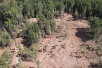 Undeveloped Land for sale in Rusk County, Texas
