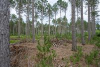 Property for sale in Wood County, Wisconsin