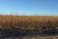 Property for sale in Greeley County, Kansas