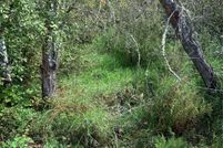 Undeveloped Land for sale in King County, Washington